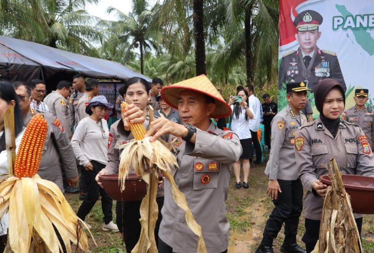 Polda Sulut Panen 10 Ton Jagung 