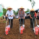 Polres Tomohon Tanam Jagung di Lahan Seluas 3 Hektar