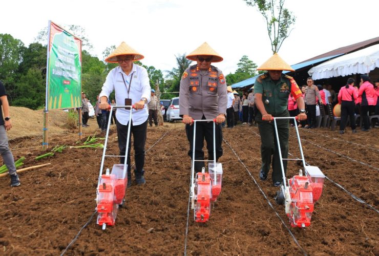 Polres Tomohon Tanam Jagung di Lahan Seluas 3 Hektar
